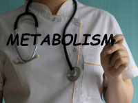 BIOENERGÉTICA E METABOLISMO