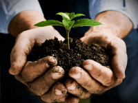 PLANEJAMENTO E CONSERVAÇÃO AMBIENTAL