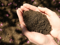 RECUPERAÇÃO ÁREAS DEGRADADAS