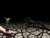 Modelo de Recuperação Ambiental