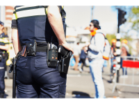 REGULARIZAÇÃO DO SERVIÇO ORGANICO DE SEGURANÇA