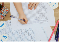 ORGANIZAÇÃO DAS CONDIÇÕES DE APRENDIZAGEM