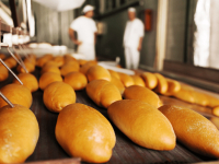 Bases Legais e Ações de Vigilância Sobre  Alimentos