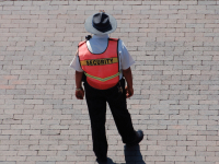 SISTEMA NACIONAL  - SEGURANÇA PÚBLICA