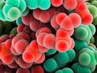 BASES MOLECULARES DA VIDA