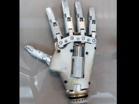 Próteses Órteses Dispositivos De Tecnologia Assistiva E Acessibilidade para a Pessoa Idosa,