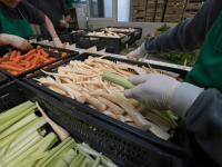 GESTÃO DA CADEIA DE FORNECIMENTO