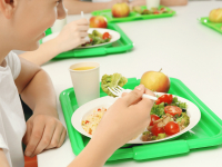 POLÍTICA DE ALIMENTAÇÃO ESCOLAR, MERENDA E CANTINA