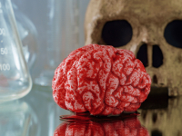 PRÁTICA PEDAGÓGICA EM HISTÓRIA I