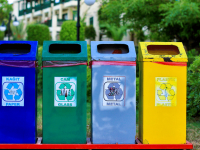 EDUCAÇÃO AMBIENTAL  SUSTENTABILIDADE