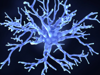 ATENDIMENTO E SUPORTE INTENSIVO