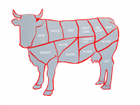 CADEIAS PRODUTIVAS DE ORIGEM ANIMAL