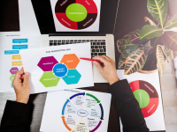 VISUAL MERCHANDISING ESTRATÉGICO