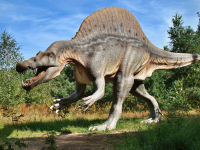 HISTÓRIA DA PRÉ HISTÓRIA