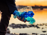 PRODUÇÃO MAIS LIMPA E A SUSTENTABILIDADE