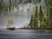 Impactos Ambientais: Avaliação e Mitigação de Danos no Ecossistema