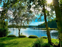 Biodiversidade e Preservação: Descubra a Importância da Vida em nosso Planeta