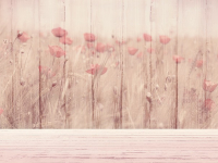 Conservação e Sustentabilidade Ambiental: Práticas para um Futuro Consciente