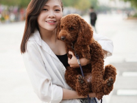 Tornando-se um profissional na área de creche para animais de estimação