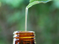 Fundamentos dos Óleos Essenciais