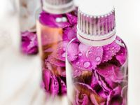 Explorando o Poder dos Óleos Essenciais