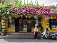 Desafios e Oportunidades em Compras Internacionais