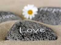 Emoção x Sentimento: O Papel da Razão