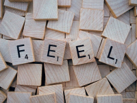 Dominando a Complexidade de Emoção, Sentimento e Lógica