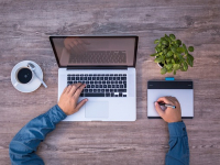 Jornalismo de Dados: Da Coleta à Análise de Informações