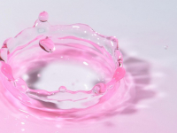 Tai Chi pour débutant: \