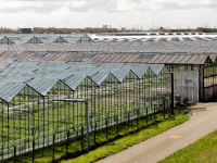 Cours d\'horticulture pratique