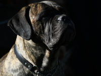 Corso informatica di base 2022