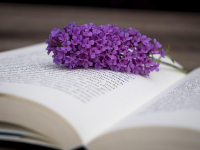 Nicola Sfredda Pedagogia Musicale