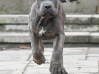 Corso di Marketing Gratuito [con Esempi Reali]