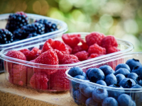 Corso di Laurea in Scienze della Nutrizione Umana UniCamillus