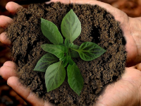 Sostenibilità Ambientale. EGE, CAM, HSE, Esperto Ambientale per Professionisti e Pubbliche Amministrazioni