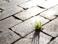 Didattica Esperienziale