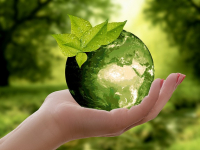 Transizione Ecologica