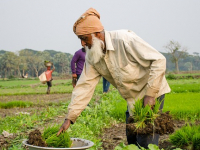 Les Métiers du Soin et du Bien-être: Paroles de Praticiens