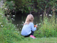 Santé Live: les Émissions