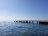 Corso Completo Adobe Illustrator: da 0 a Illustratore