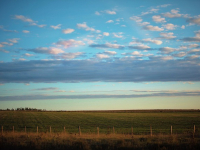 Technologies et Innovations Agricoles