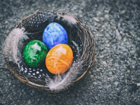 Cecile Corbel + Autres Thèmes du Genre