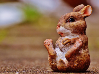 Hypnose Autres Thèmes