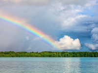 Thèmes Astraux et Autres