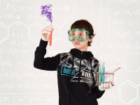 Domaines - Sciences Humaines et Sociales