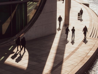 Management Général 1 (S1)