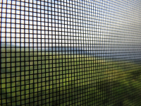 L\'Equazione del Risveglio