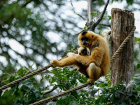 Perché Scegliere INFERMIERISTICA