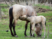 Rivoluzioniamo Infermieristica